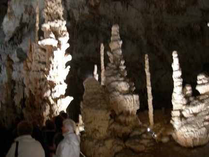 DSCN7028