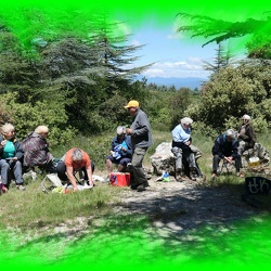 2024 05 31 LES MARCHEURS LES CEDRES