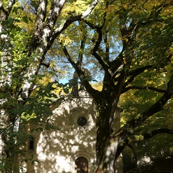 2025 10 2025 LURE RANDONNEE de MAURICE VIARD