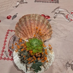 2025 11 06 BAL LE REGUSSE NOUVEAU