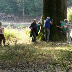 2026 10 05 LES MARCHEURS MONSIEUR VIARD